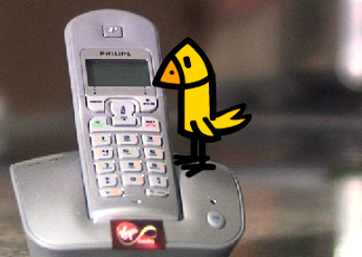 Bird Phone